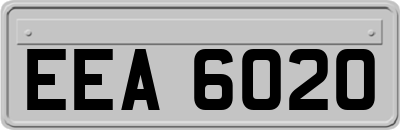 EEA6020