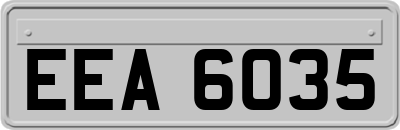 EEA6035
