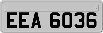 EEA6036