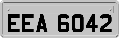 EEA6042
