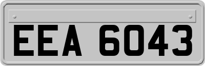 EEA6043