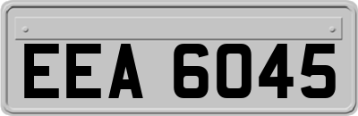EEA6045