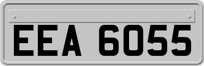 EEA6055