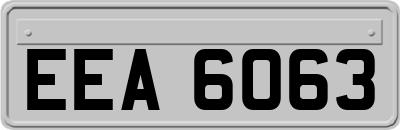 EEA6063