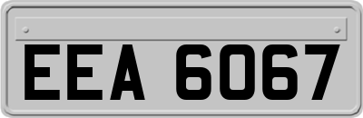 EEA6067