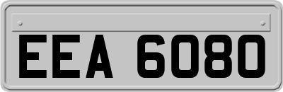 EEA6080
