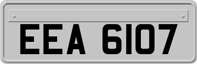 EEA6107
