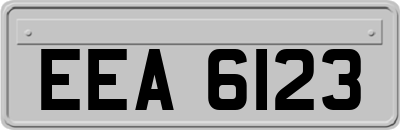 EEA6123