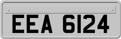 EEA6124
