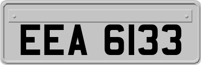 EEA6133