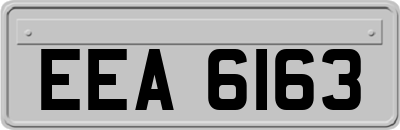 EEA6163