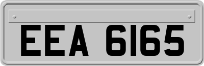 EEA6165