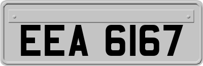 EEA6167
