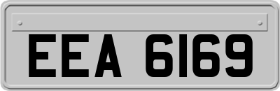 EEA6169
