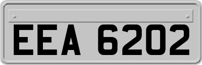 EEA6202