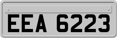 EEA6223