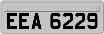 EEA6229