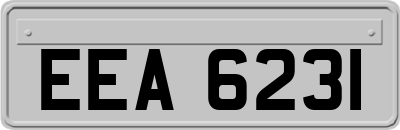 EEA6231