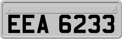 EEA6233