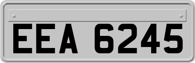 EEA6245