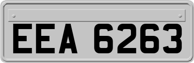 EEA6263