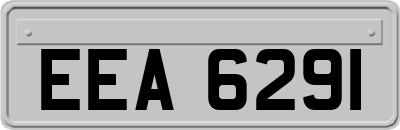 EEA6291