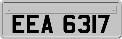 EEA6317