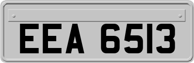 EEA6513