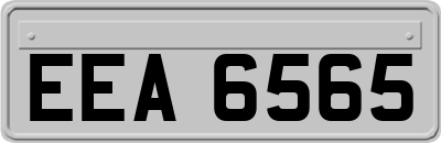 EEA6565
