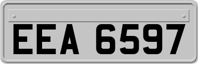 EEA6597