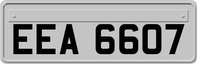 EEA6607