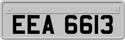 EEA6613