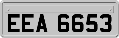 EEA6653