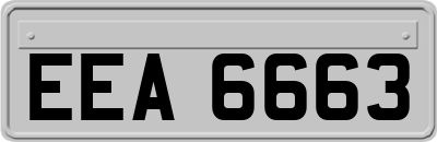 EEA6663