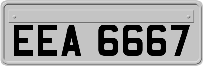 EEA6667
