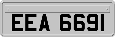 EEA6691