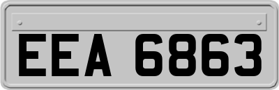 EEA6863
