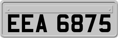 EEA6875