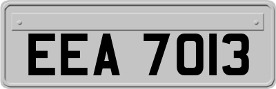 EEA7013