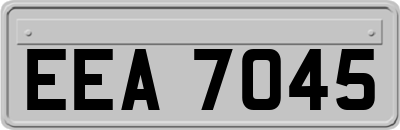 EEA7045