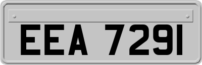 EEA7291