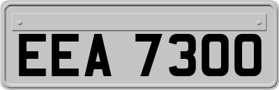 EEA7300