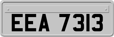 EEA7313