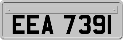 EEA7391