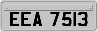 EEA7513