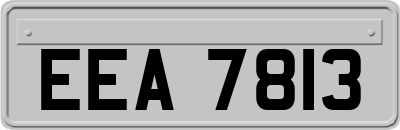 EEA7813