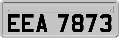 EEA7873