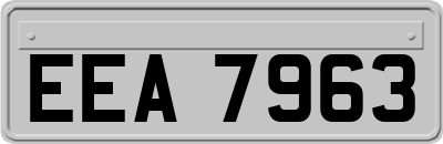 EEA7963