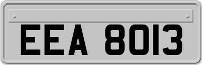EEA8013
