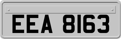 EEA8163